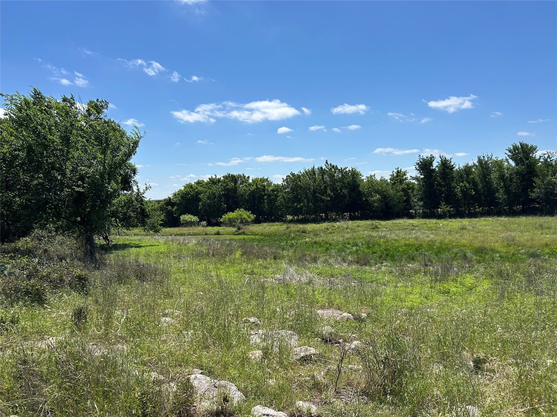 40 acres in Mills County - photo 9