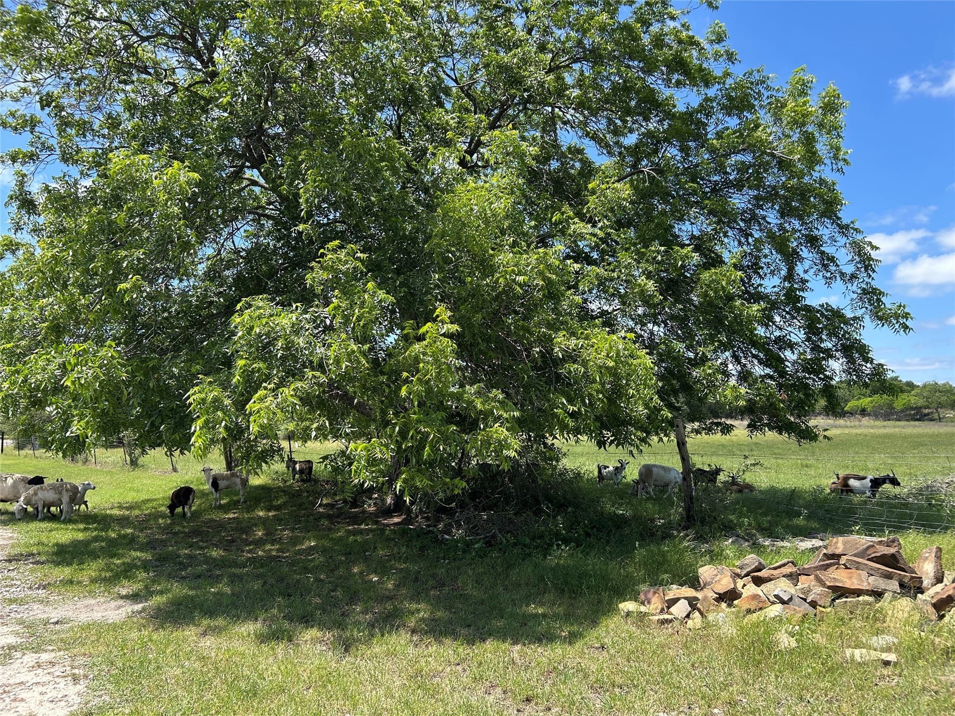 40 acres in Mills County - photo 36