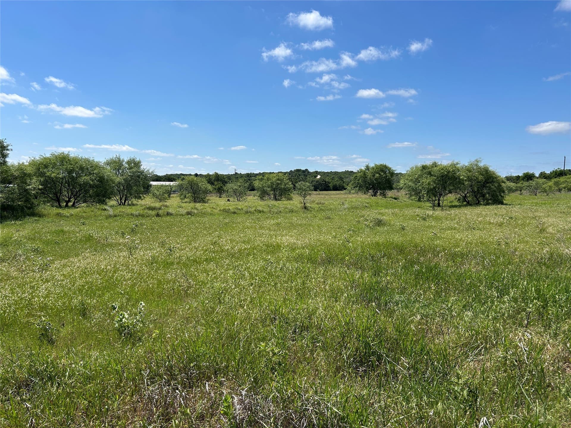 40 acres in Mills County - photo 8