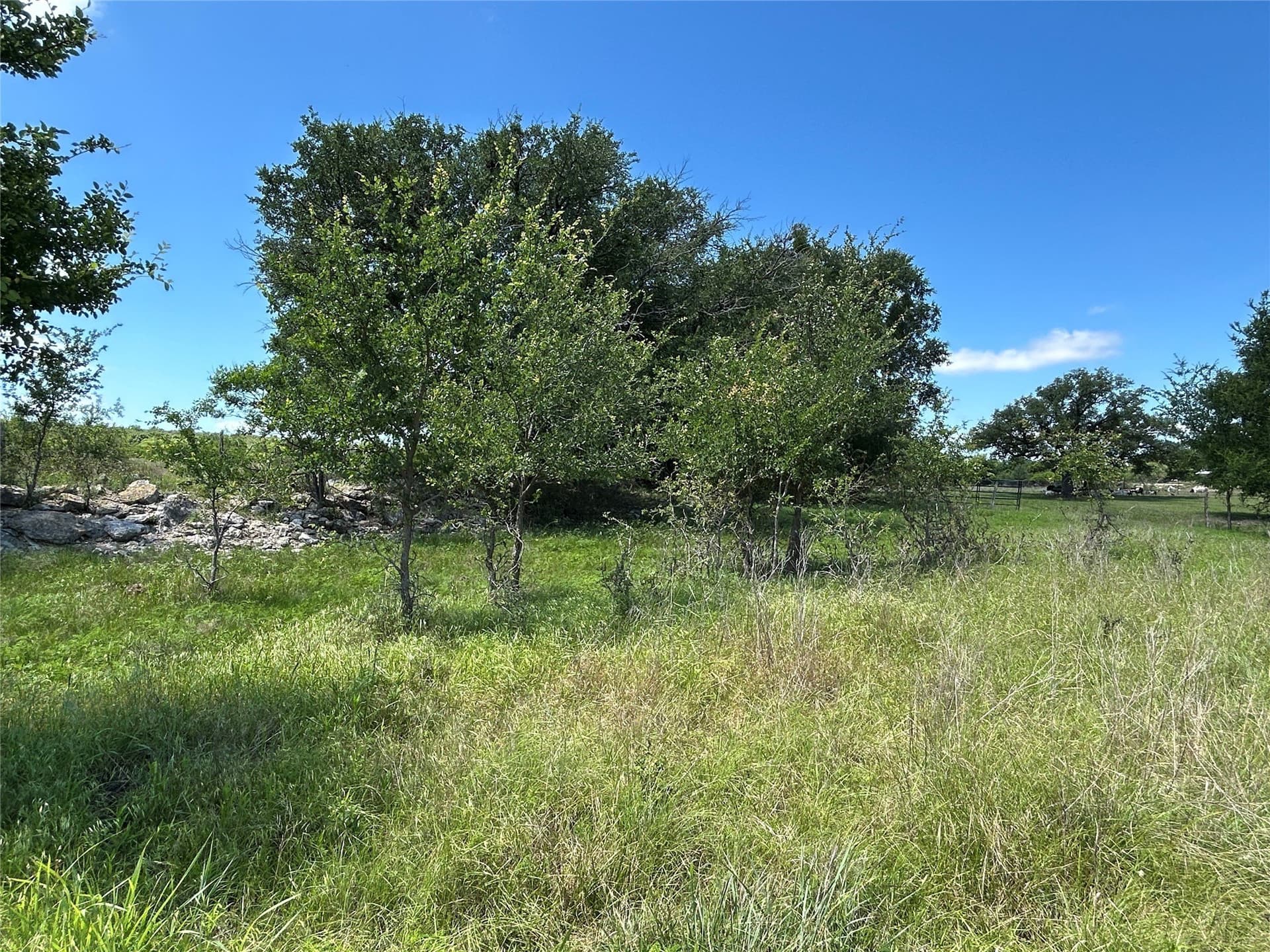 40 acres in Mills County - photo 27