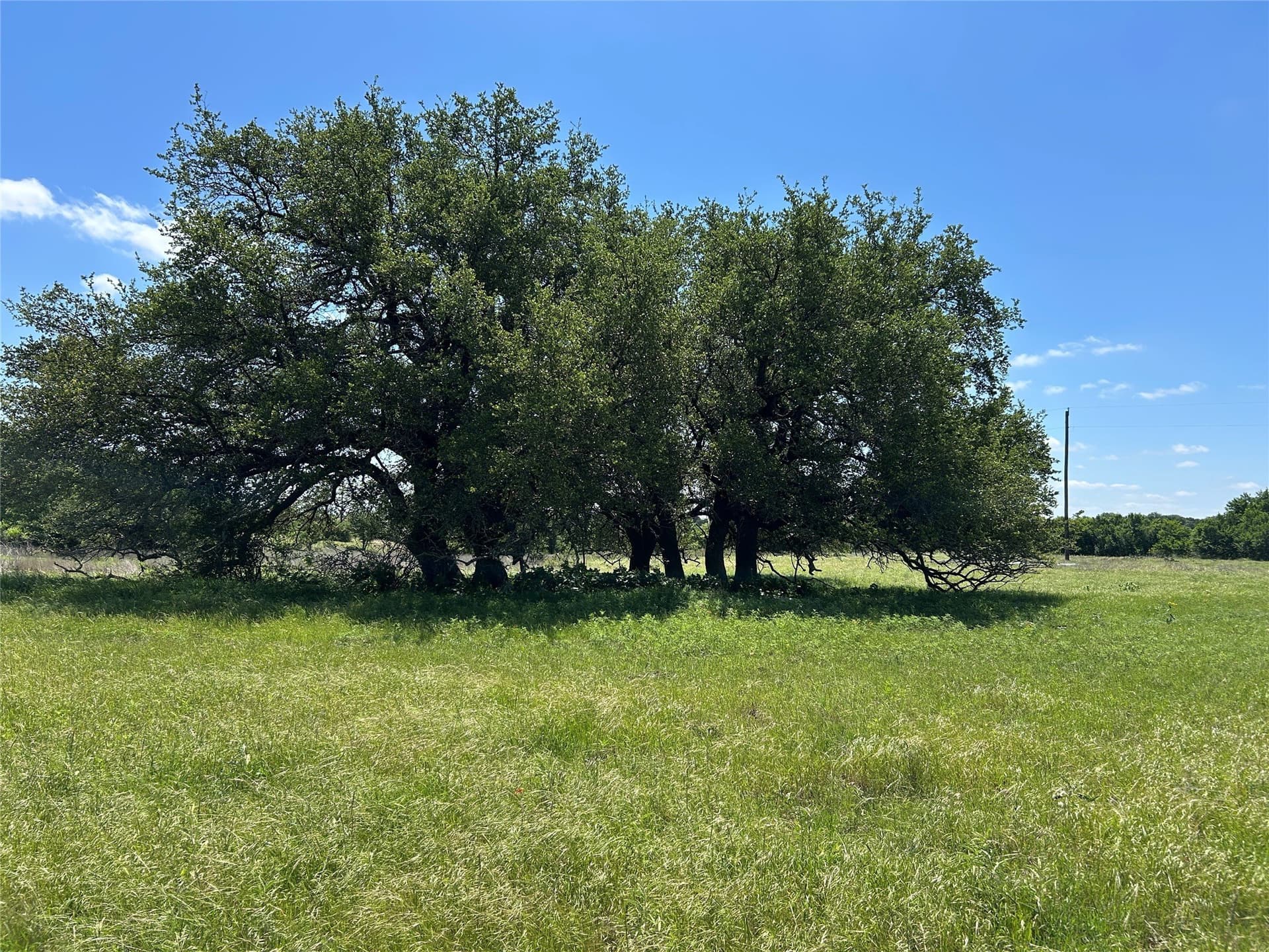 40 acres in Mills County - photo 28