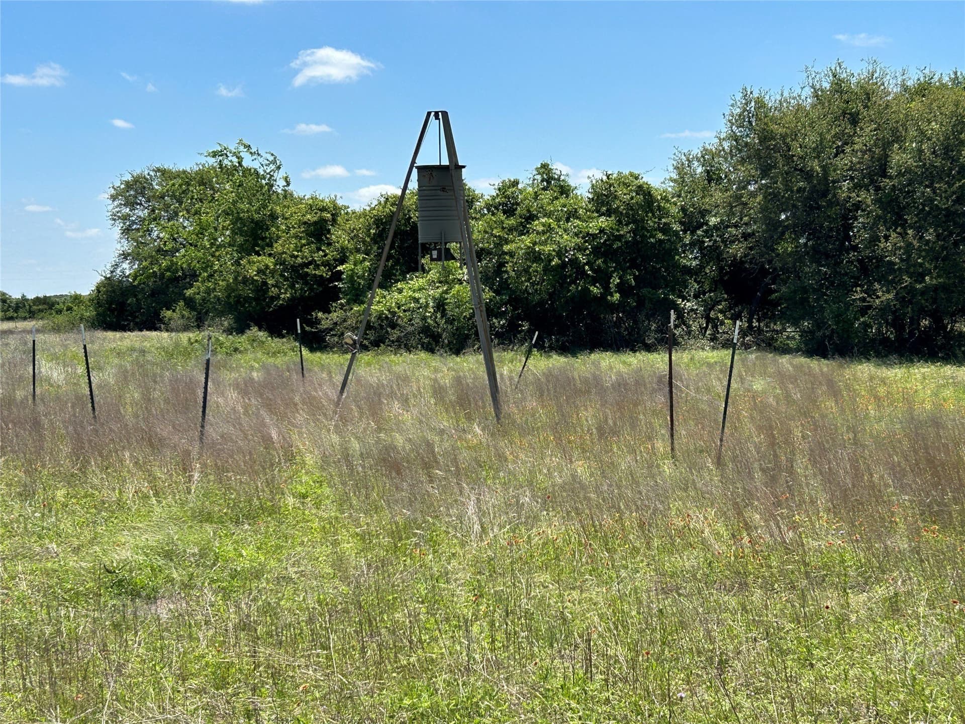 40 acres in Mills County - photo 33