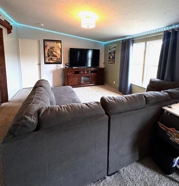 14 acres in Texas County gallery image 4