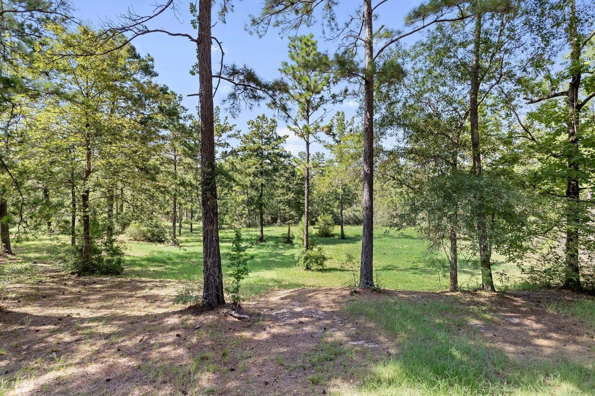 14.08 acres in Texas County - photo 5