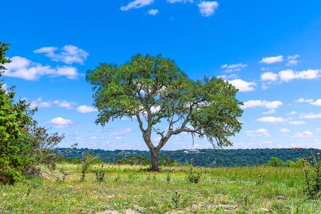 21.13 acres in Kerr County - photo 7