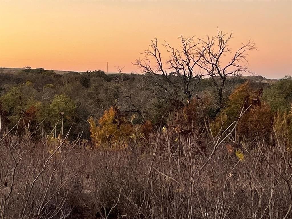 10.01 acres in Hamilton County gallery image 4