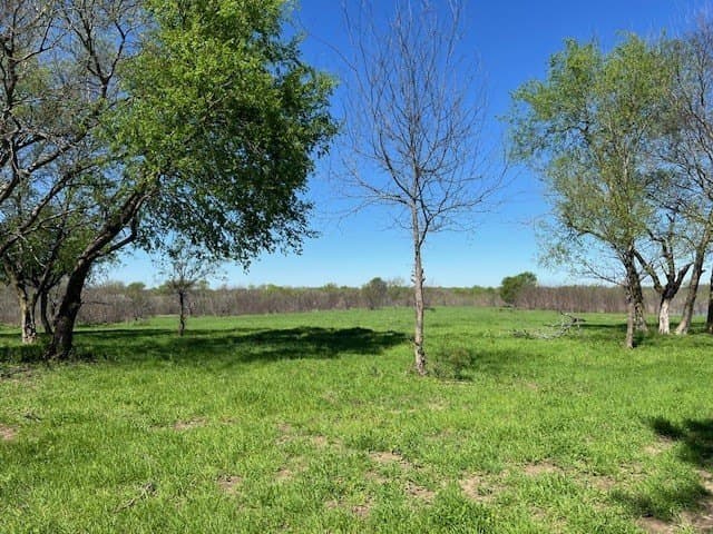 66.64 acres in Van Zandt County gallery image 4