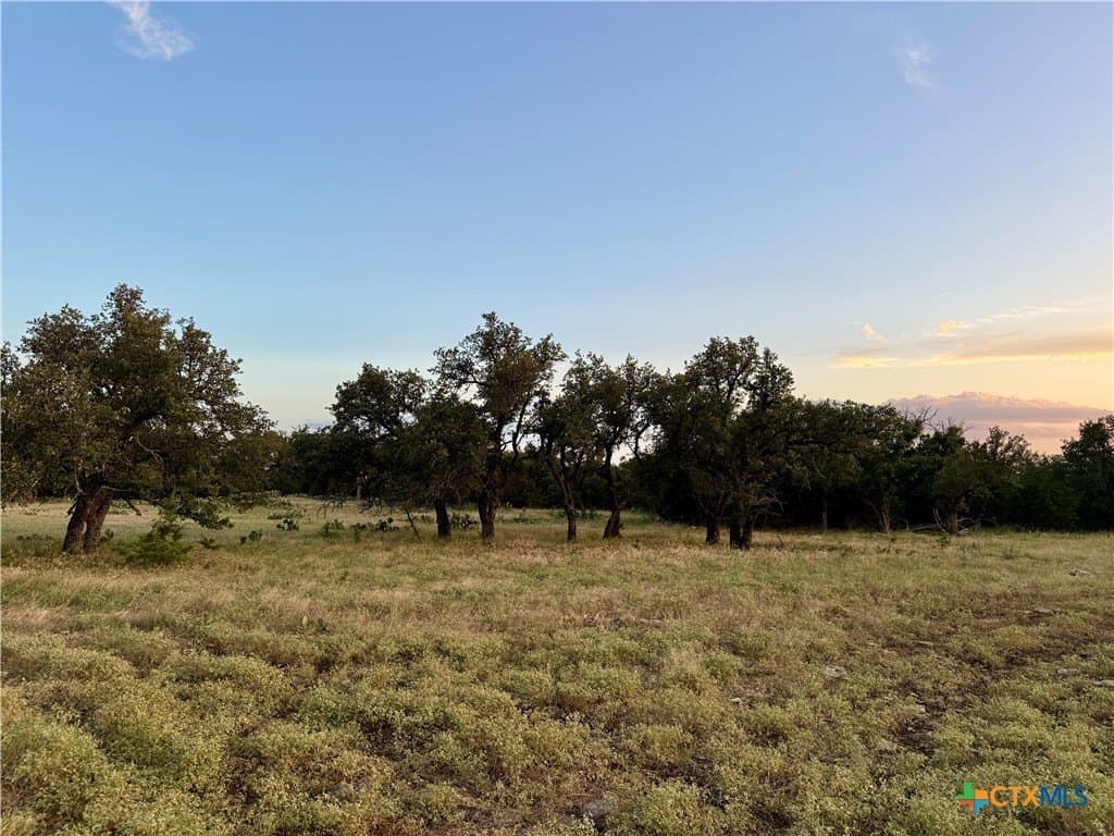 20.88 acres in Hamilton County gallery image 2