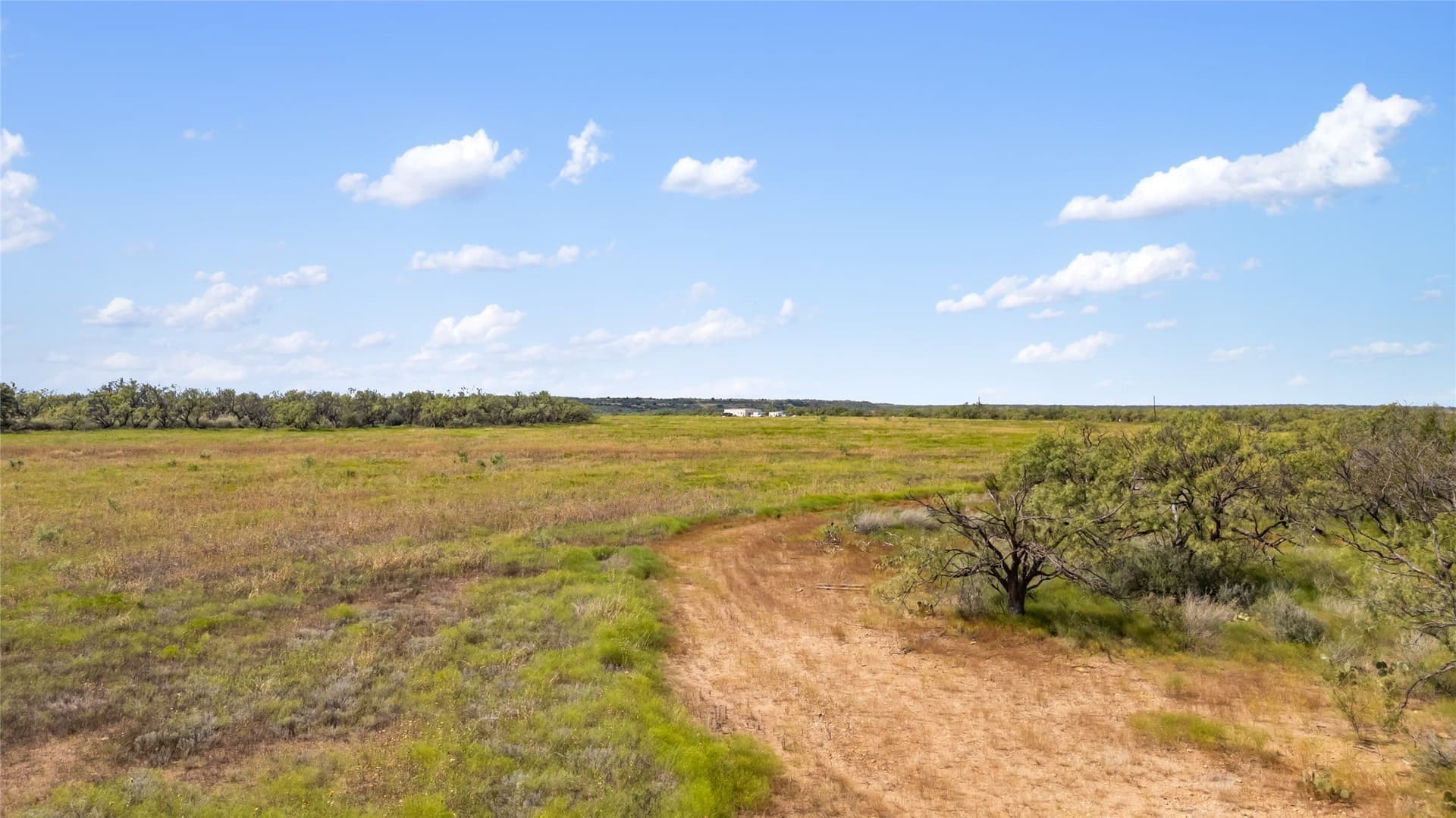 70 acres in Coleman County - photo 4