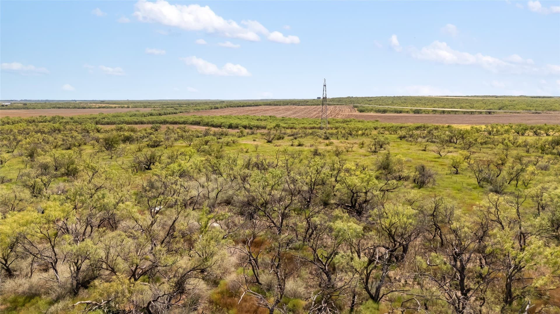 70 acres in Coleman County - photo 13