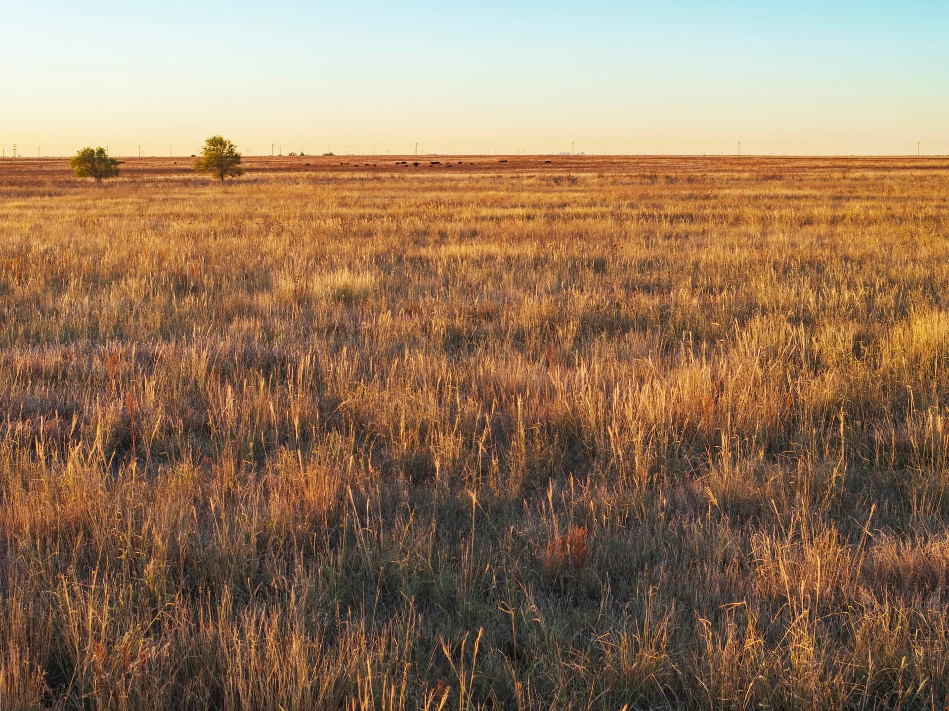 405 acres in Castro County