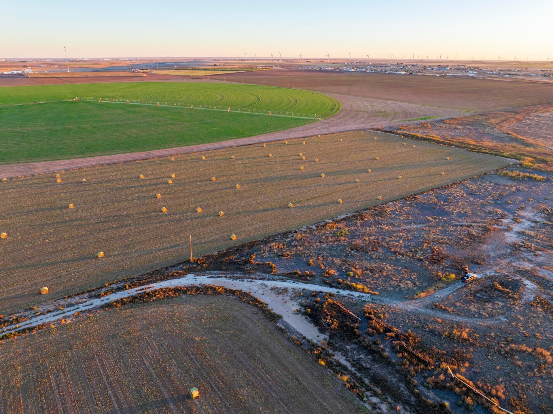 405 acres in Castro County featured view