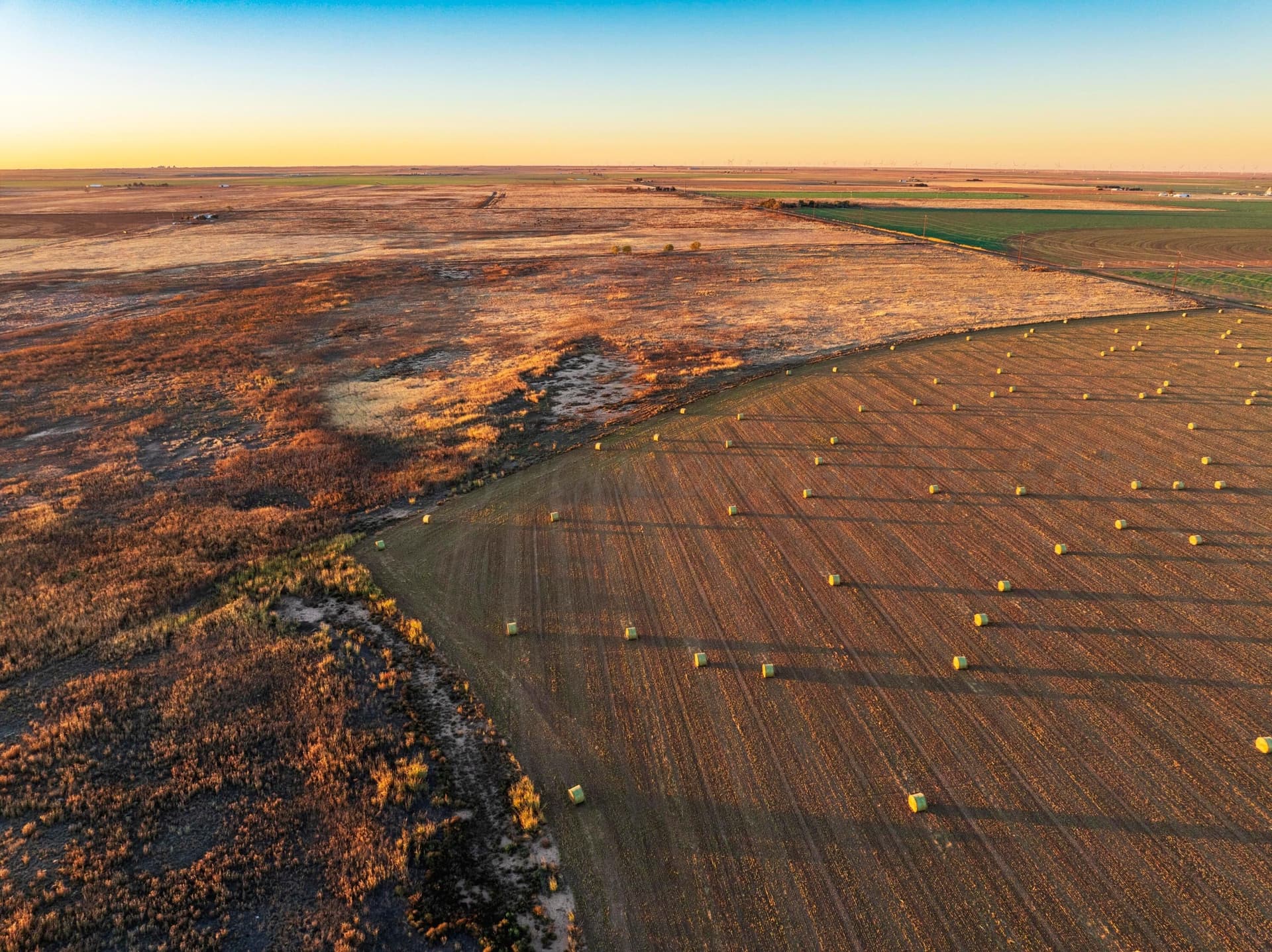 405 acres in Castro County gallery image 4