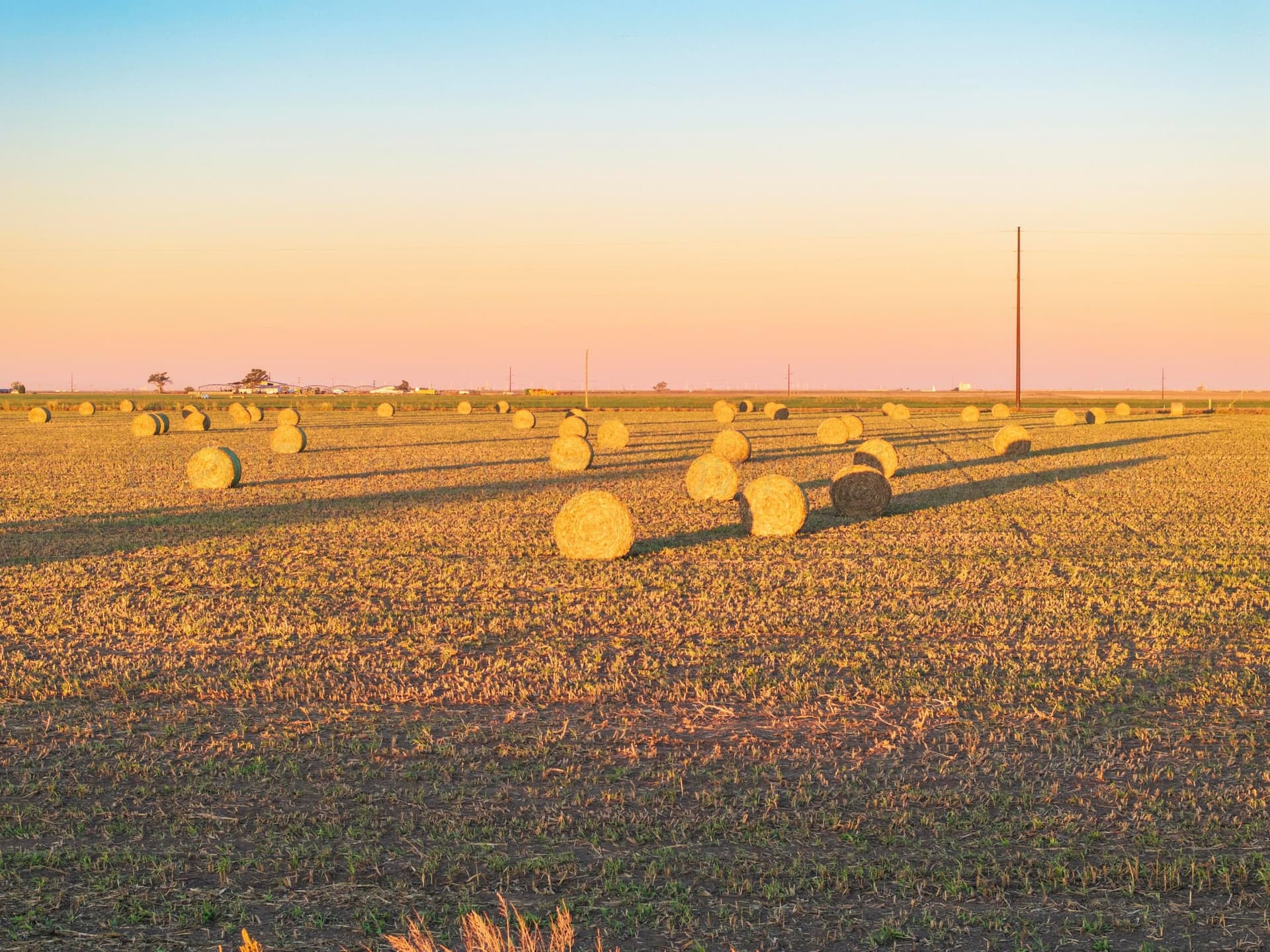 405 acres in Castro County gallery image 2
