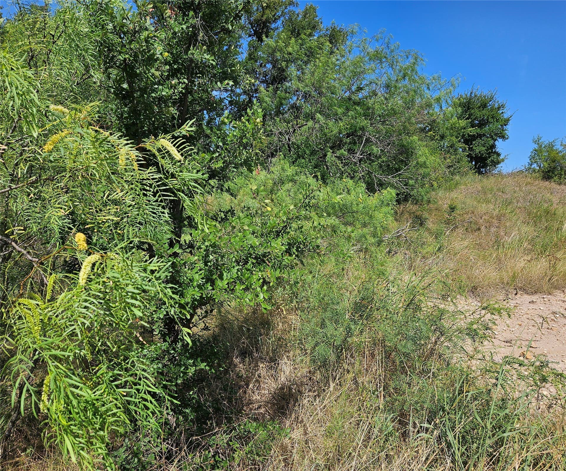 0.21 acres in Wise County gallery image 3