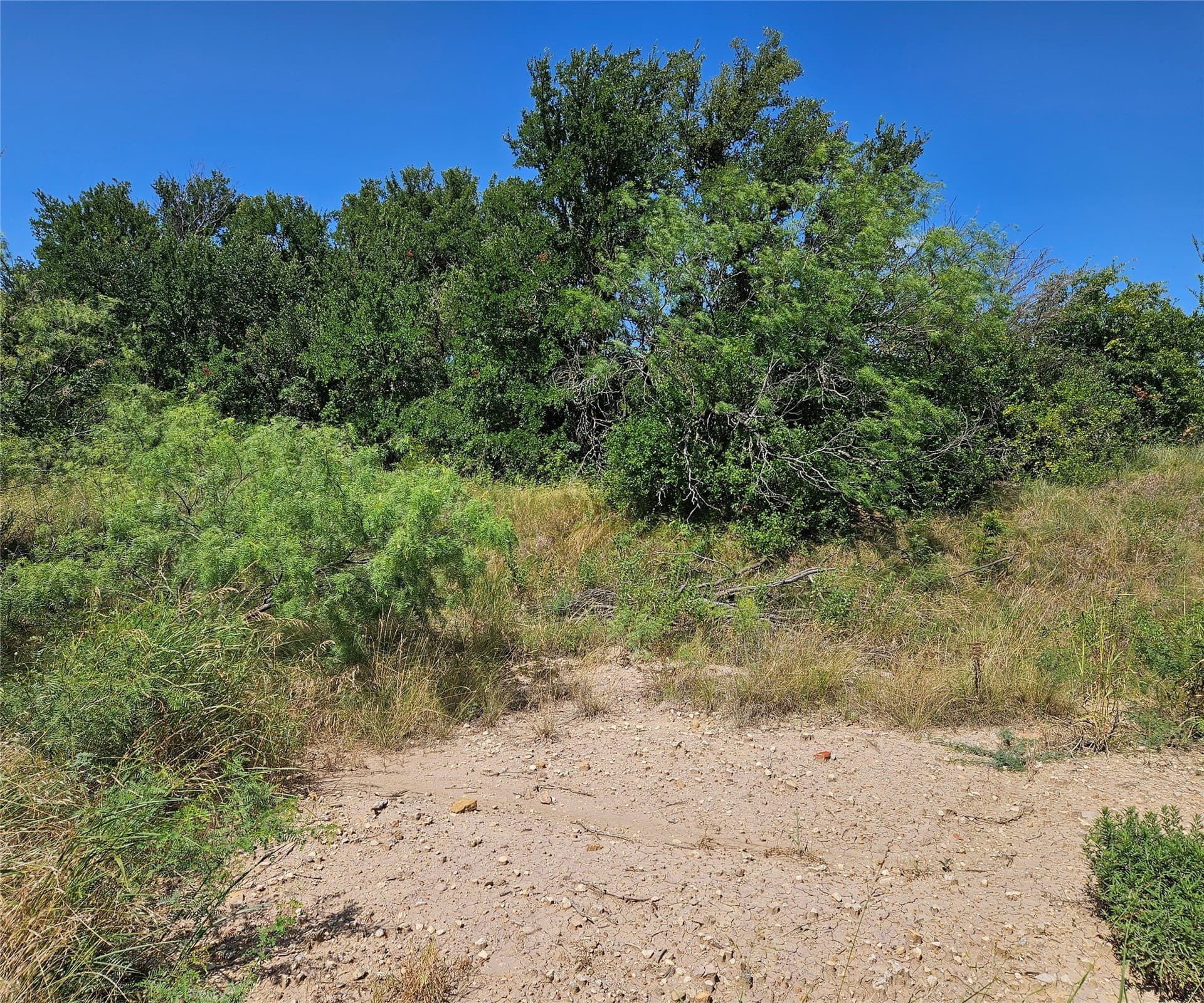 0.21 acres in Wise County gallery image 2