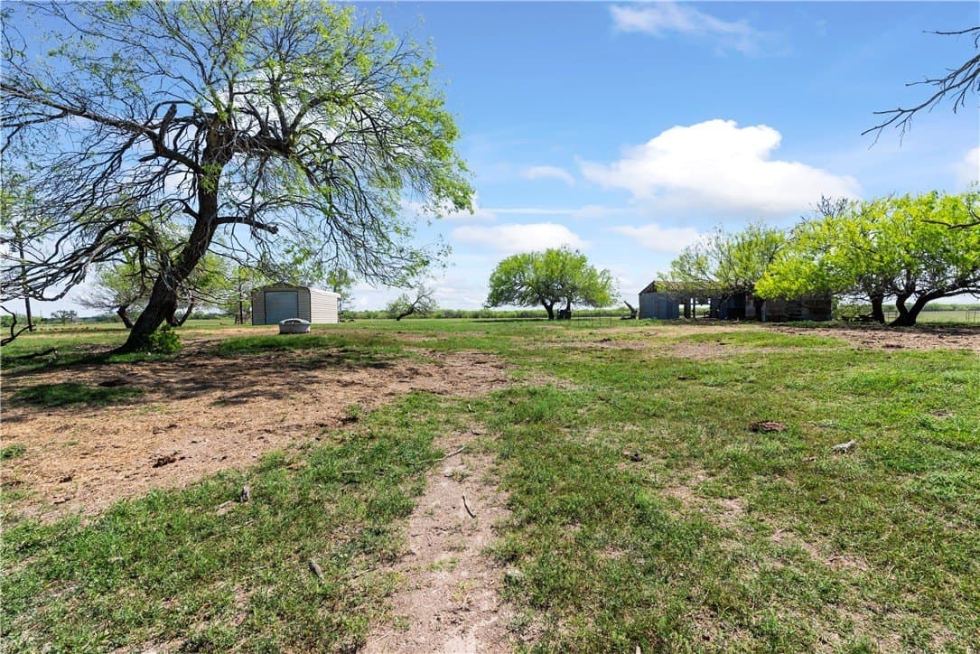 11.79 acres in Kleberg County gallery image 3