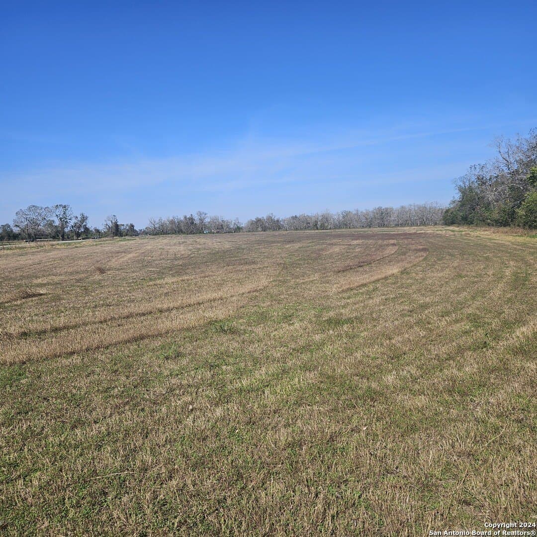 11 acres in Wharton County - photo 13