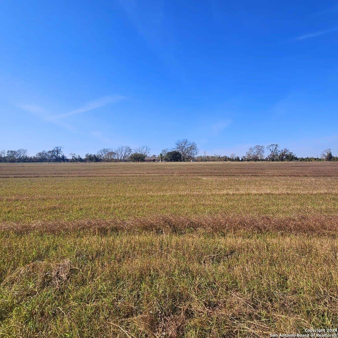 11 acres in Wharton County - photo 8