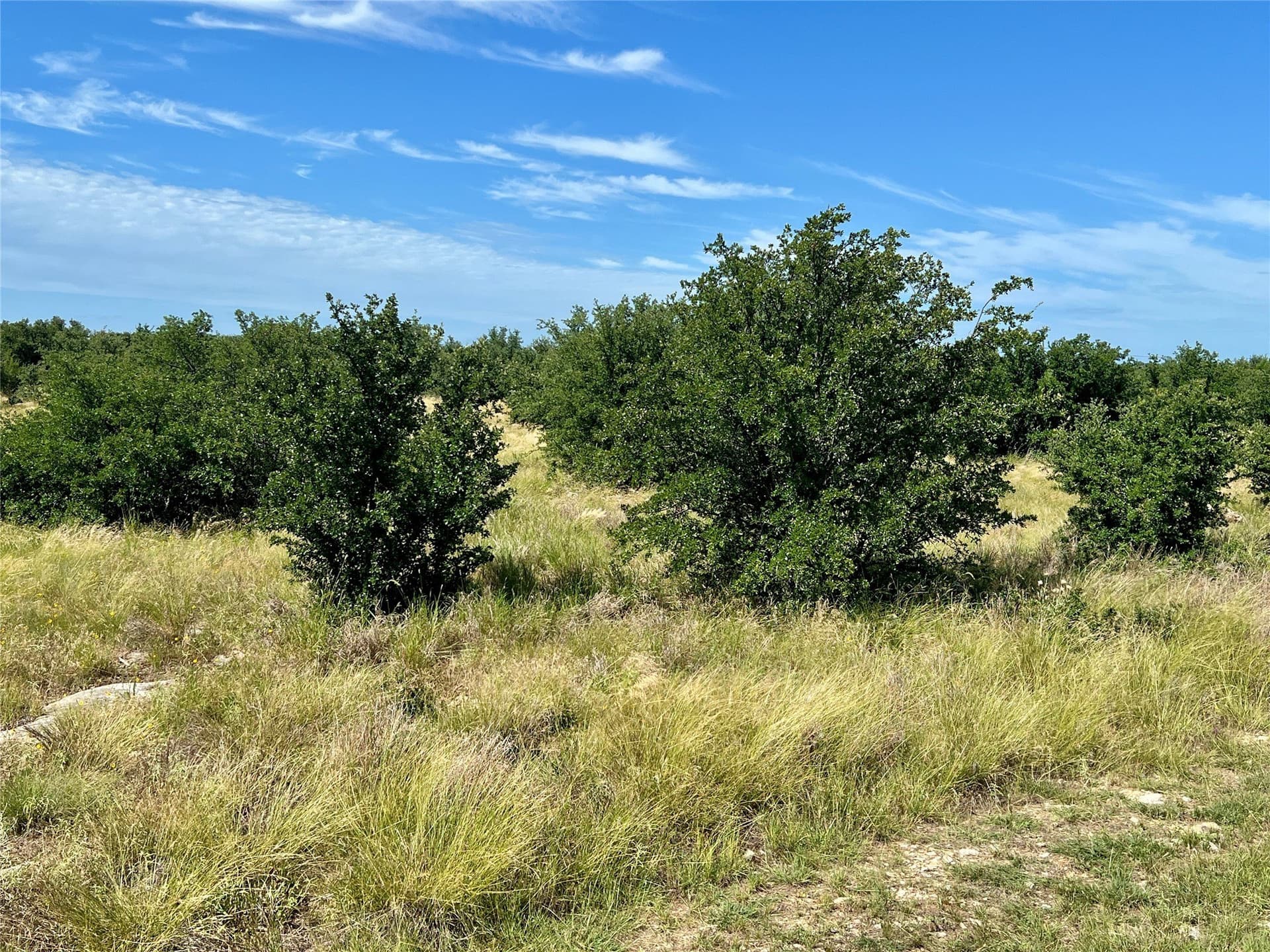 0.41 acres in Palo Pinto County - photo 7
