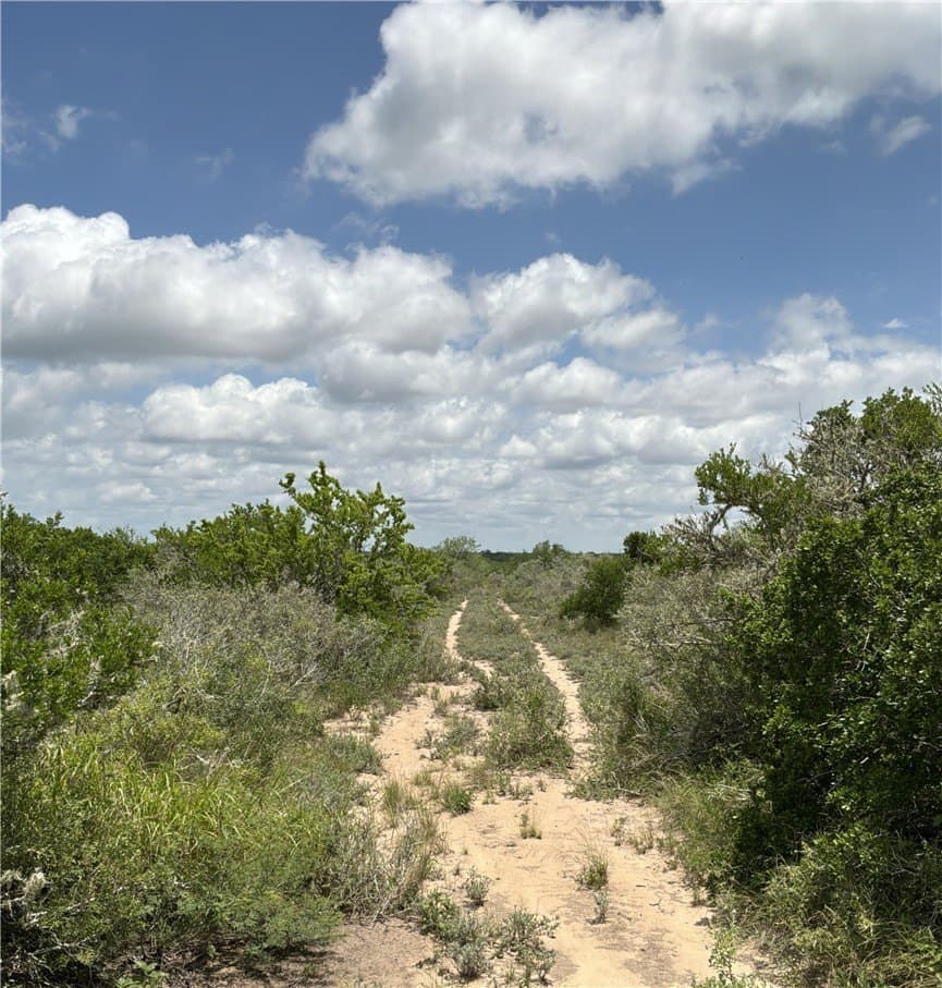 50 acres in Duval County featured view