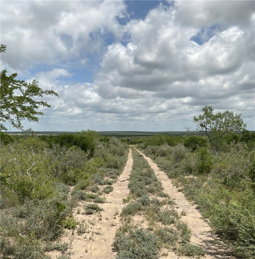 50 acres in Duval County gallery image 2