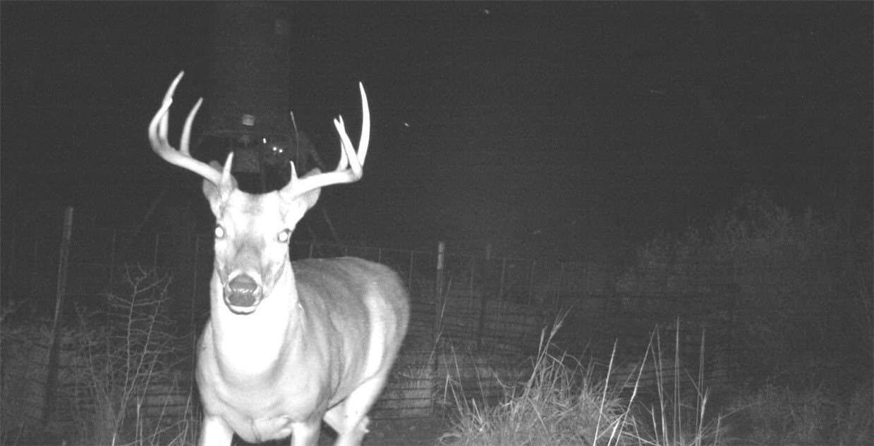 50 acres in Duval County - photo 9