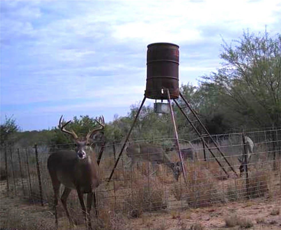 50 acres in Duval County - photo 6