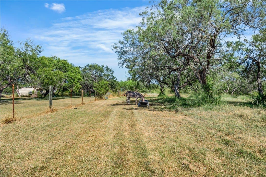 43,560 acres in San Patricio County - photo 33