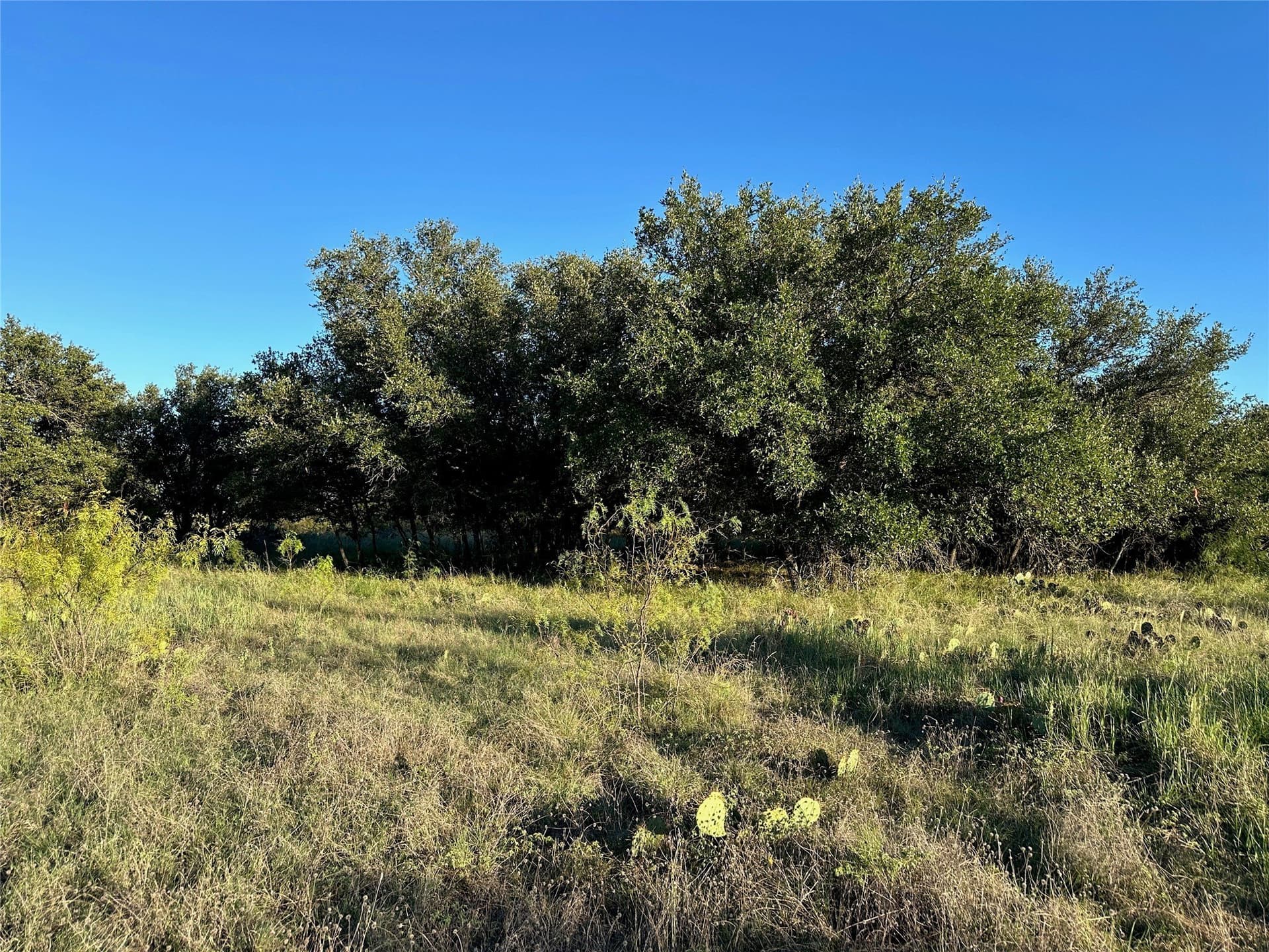 0.29 acres in Brown County - photo 9