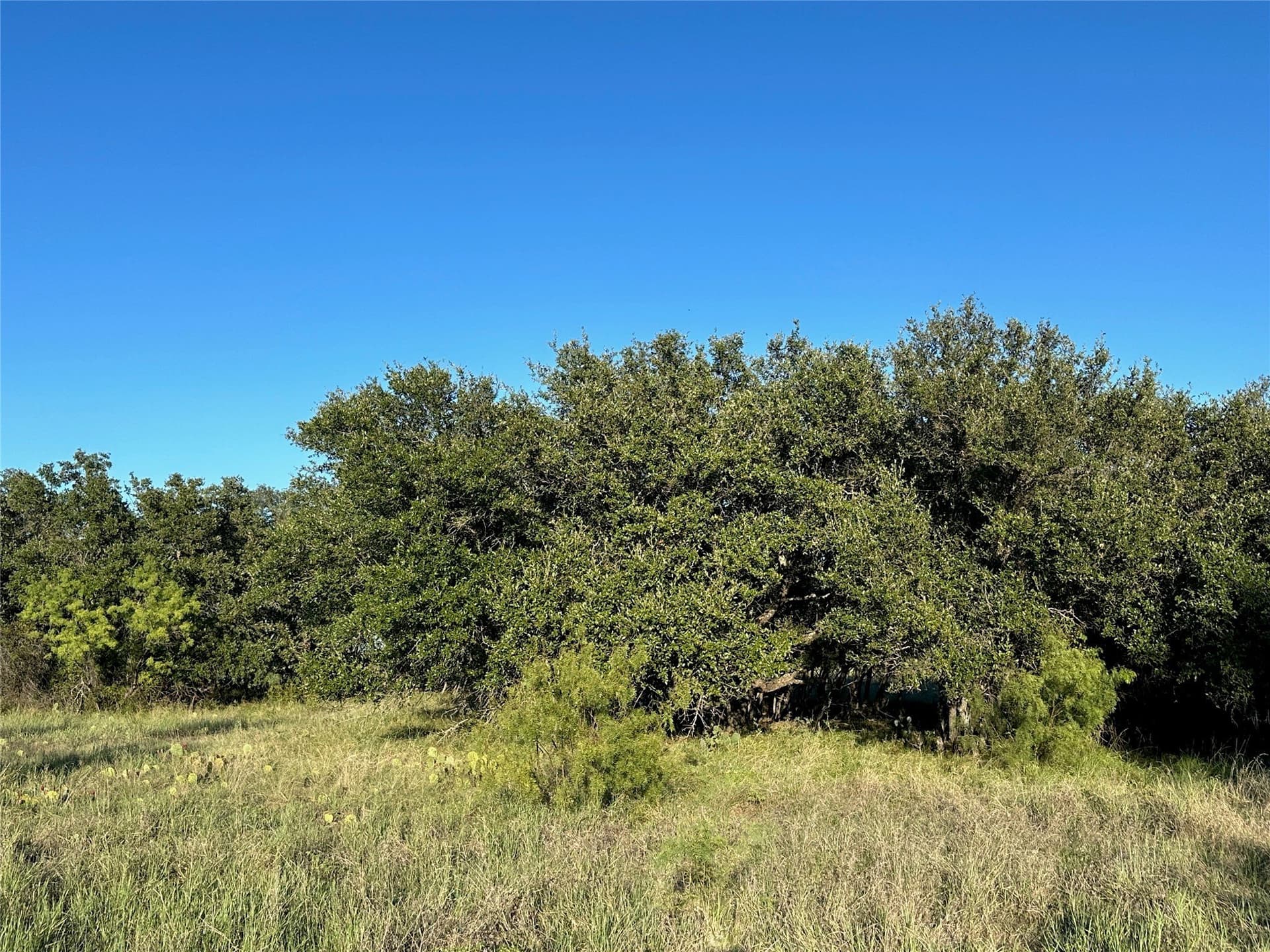 0.29 acres in Brown County - photo 5