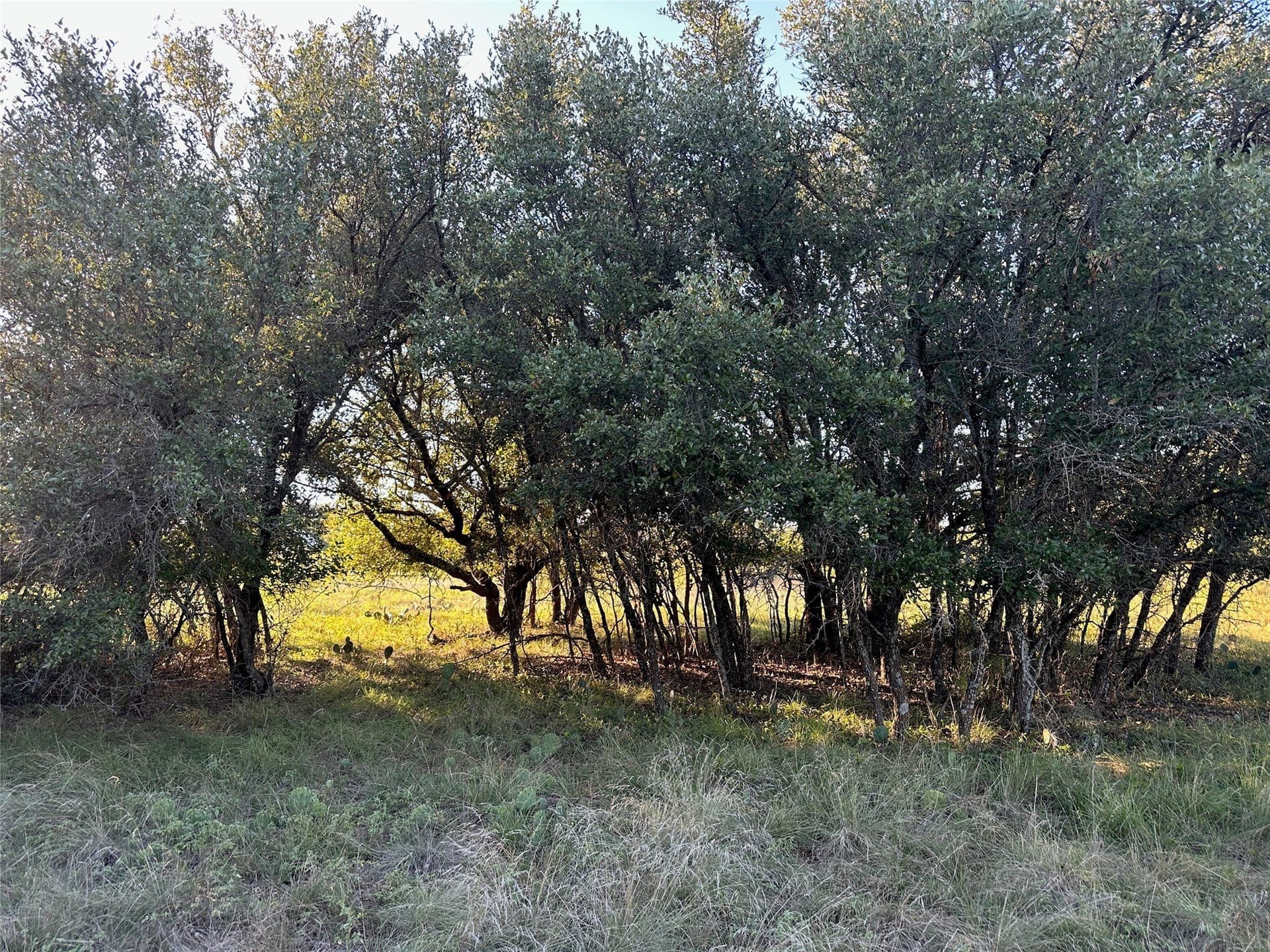 0.29 acres in Brown County - photo 10