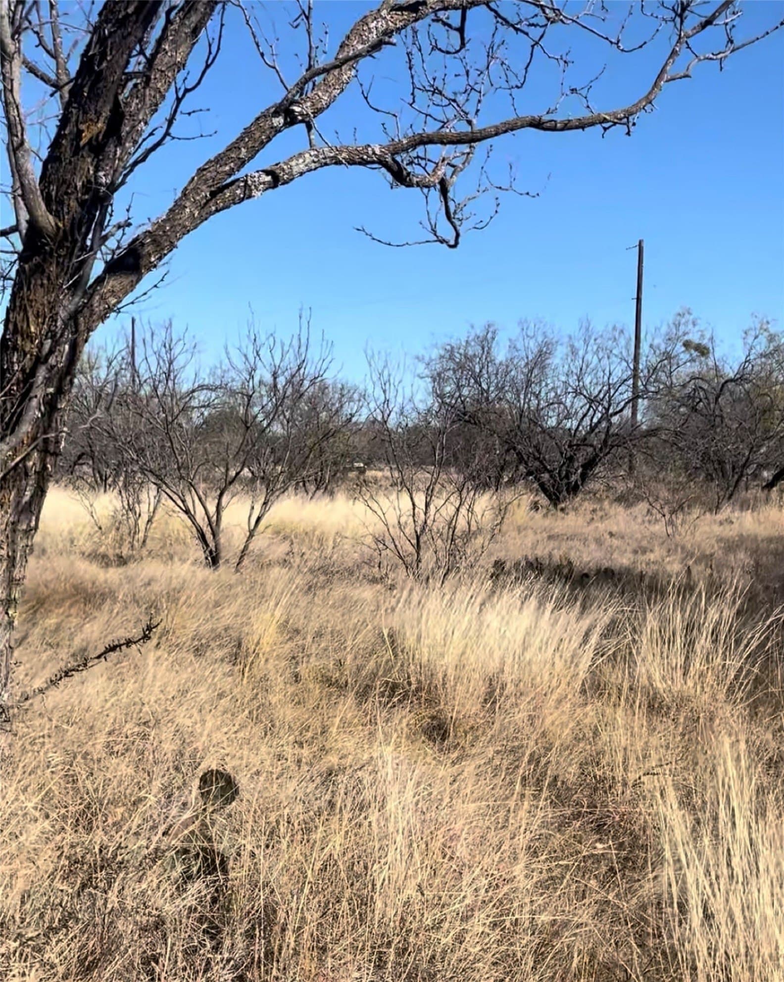 0.31 acres in Brown County - photo 6