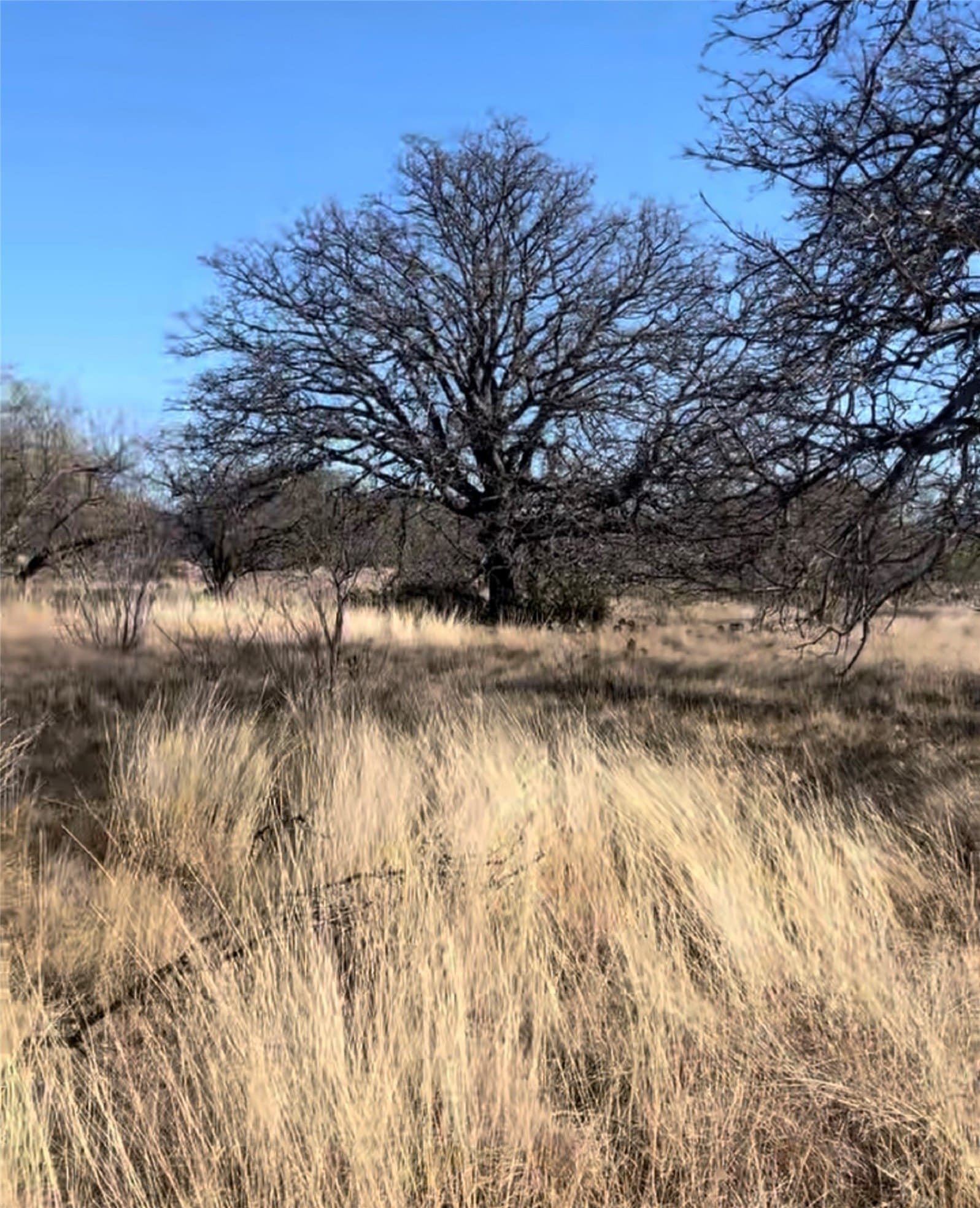 0.31 acres in Brown County gallery image 4
