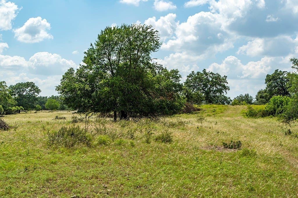 10.05 acres in Gillespie County gallery image 2