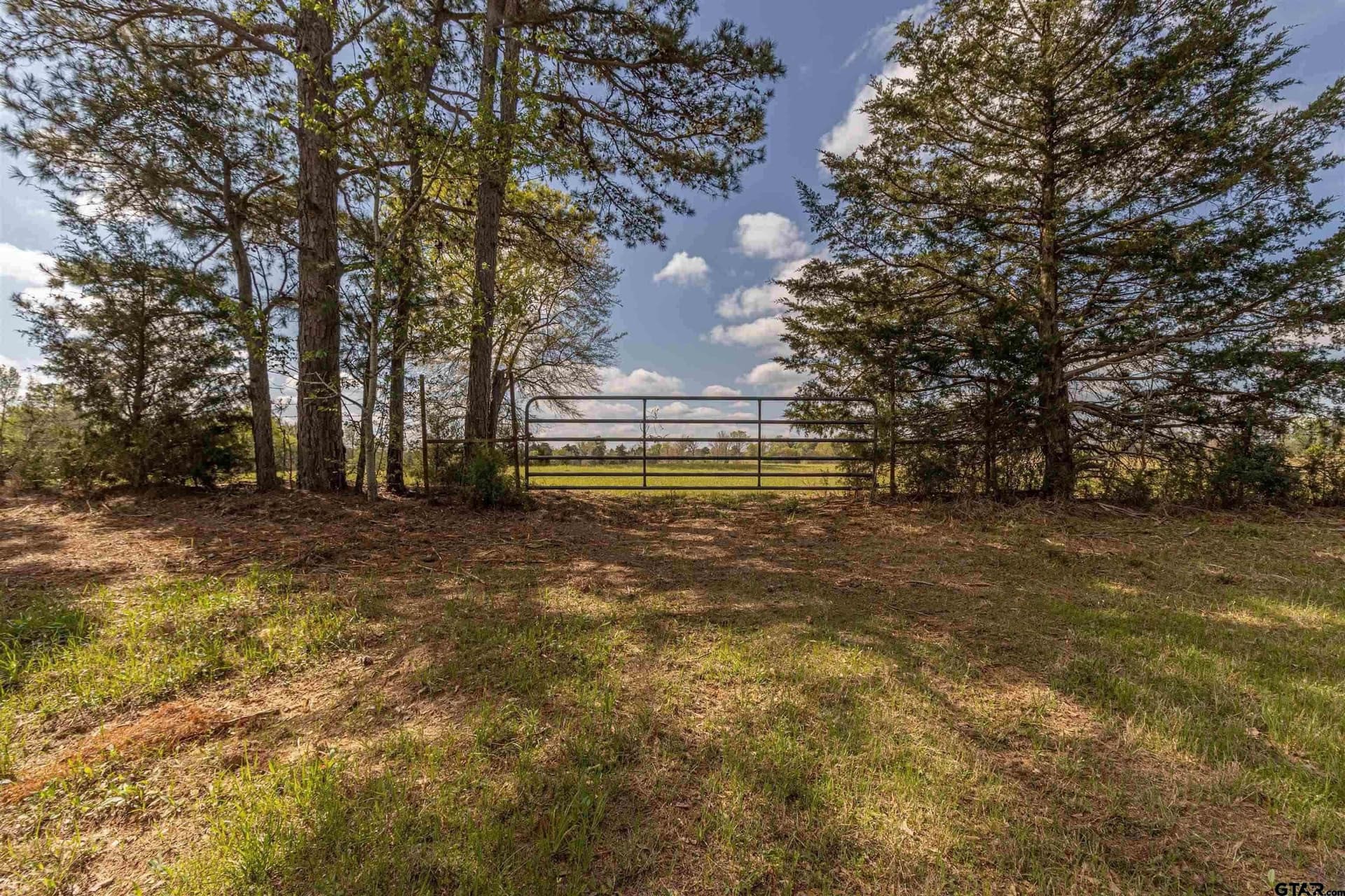 40 acres in Smith County - photo 7