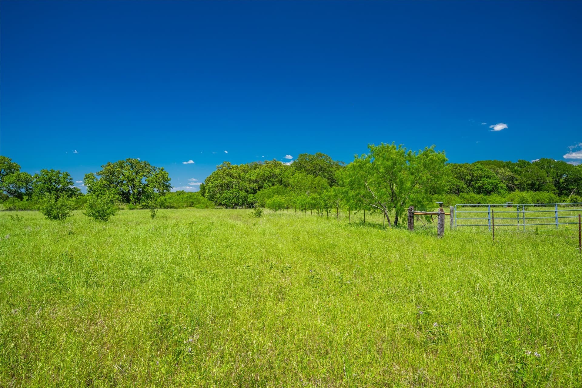 127 acres in Limestone County - photo 13
