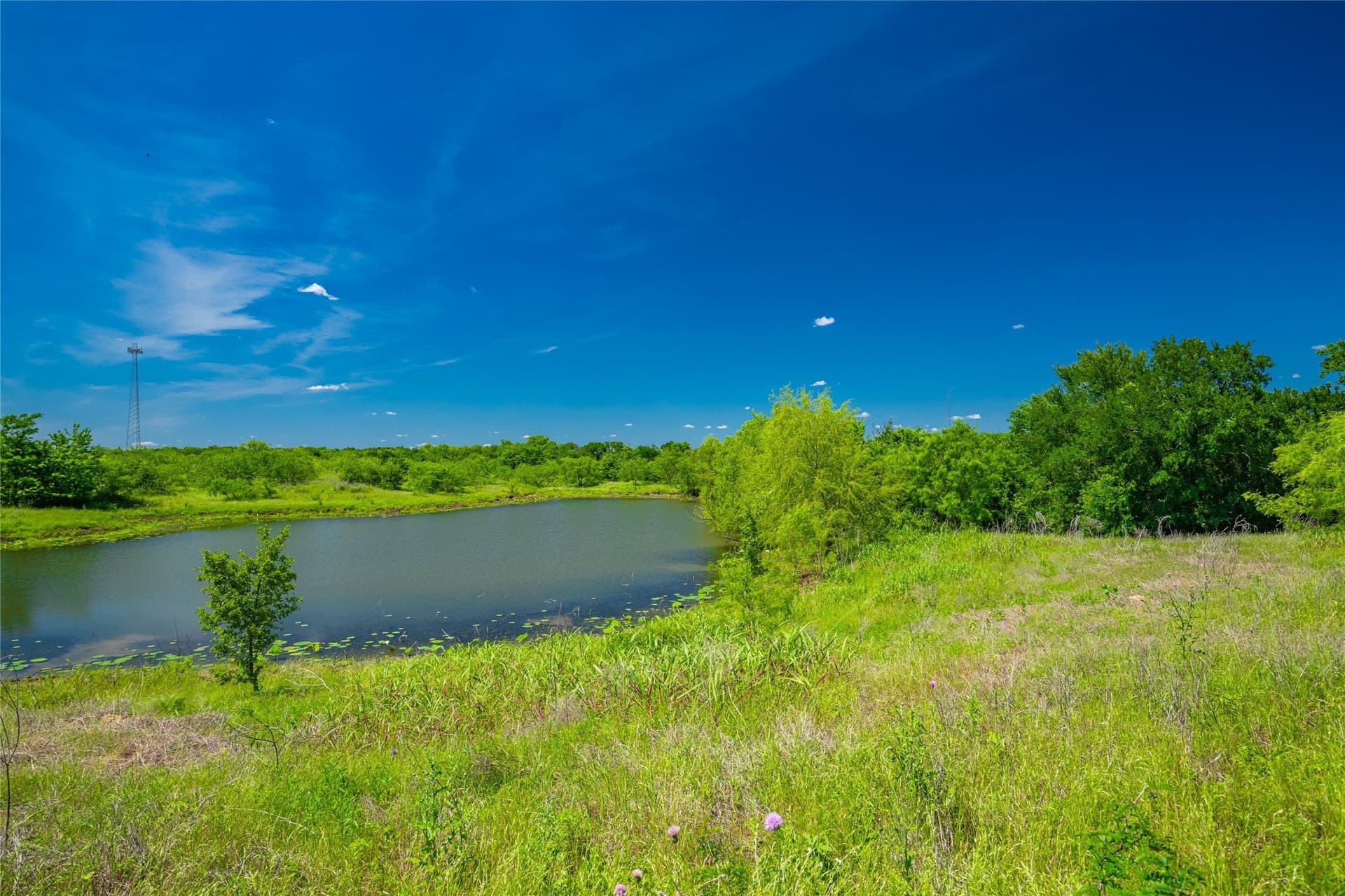 127 acres in Limestone County - photo 11