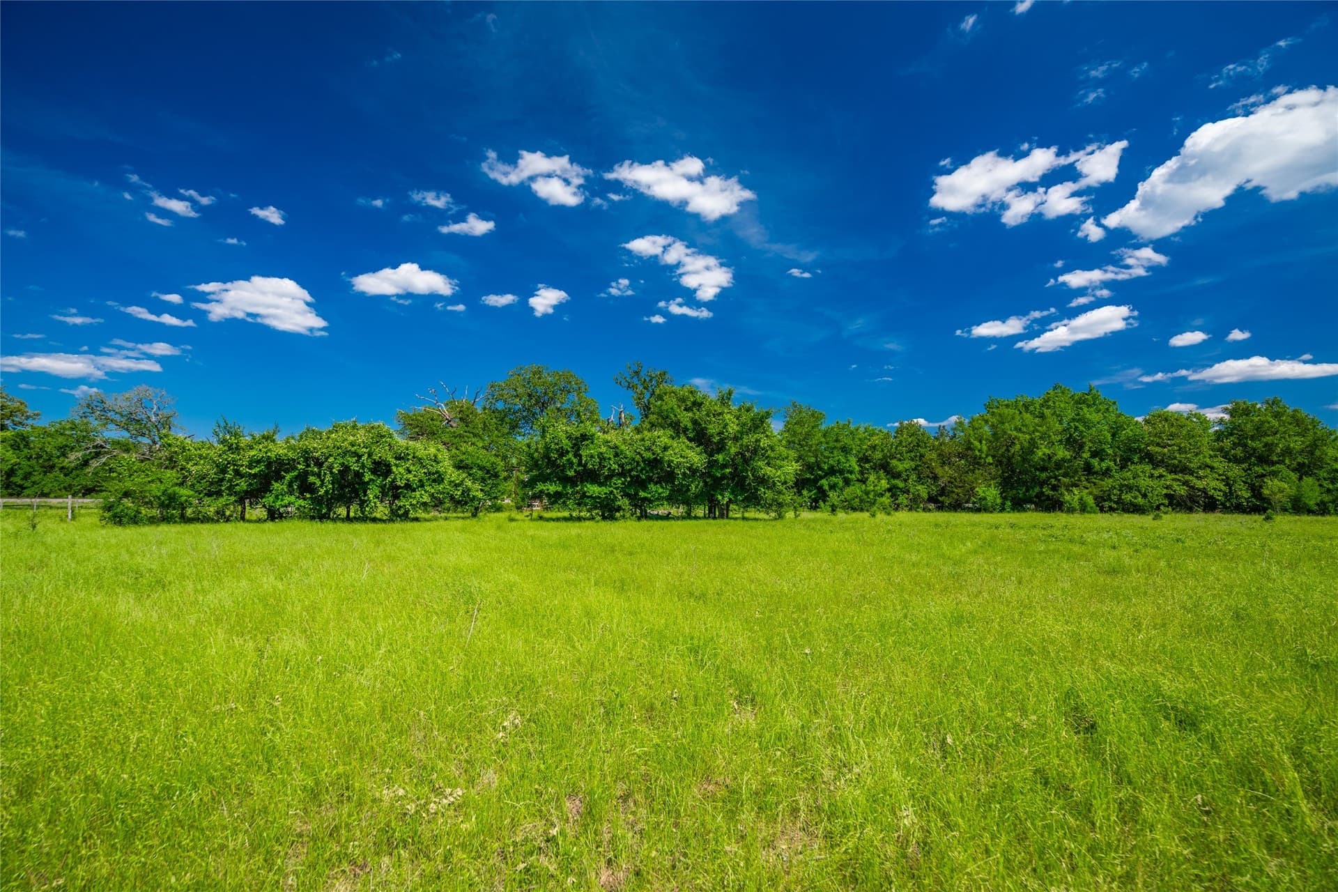 127 acres in Limestone County - photo 10