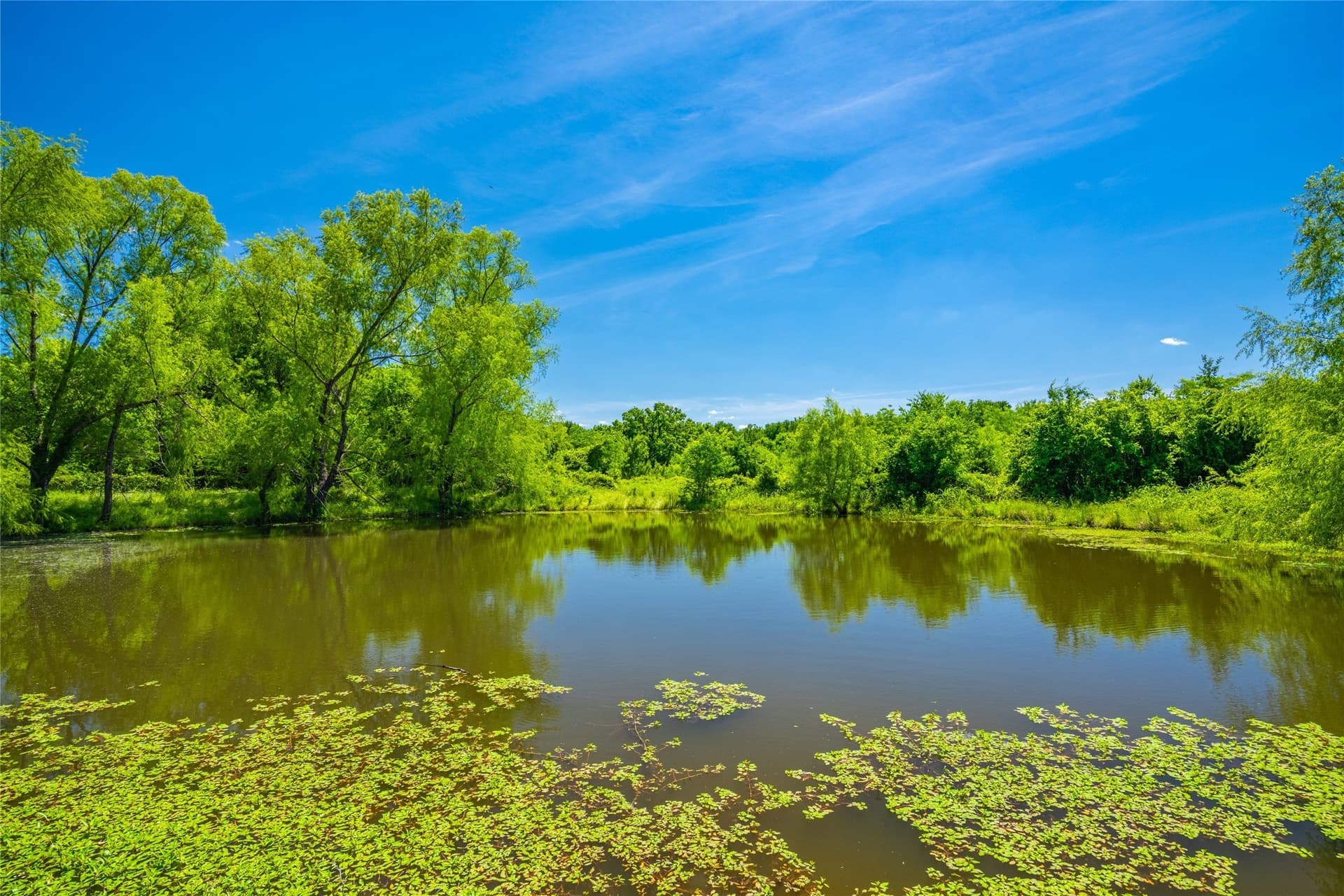 127 acres in Limestone County - photo 16