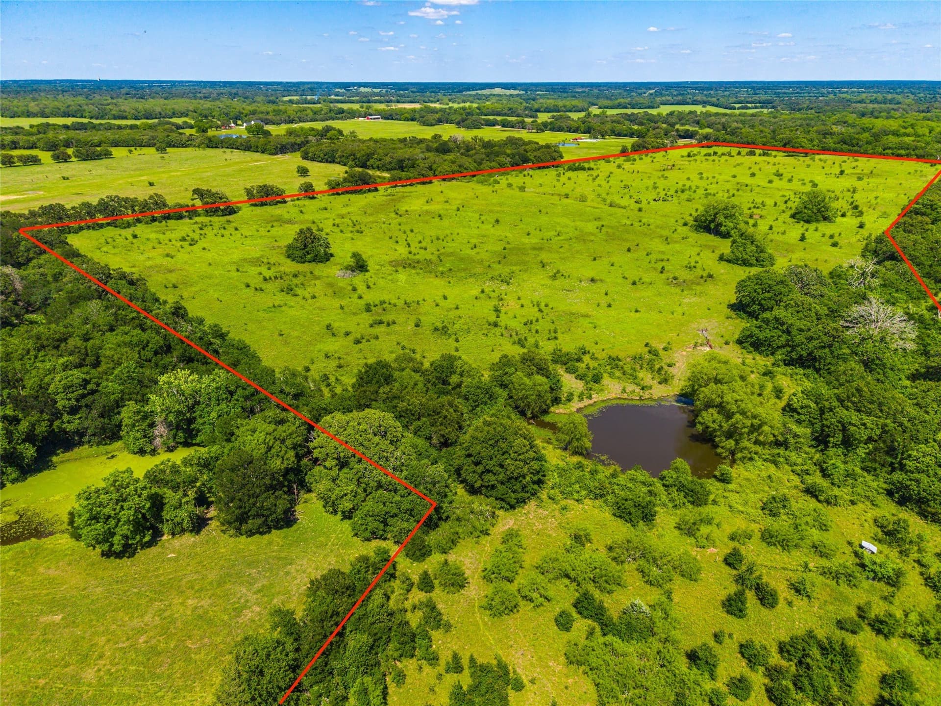 127 acres in Limestone County - photo 8