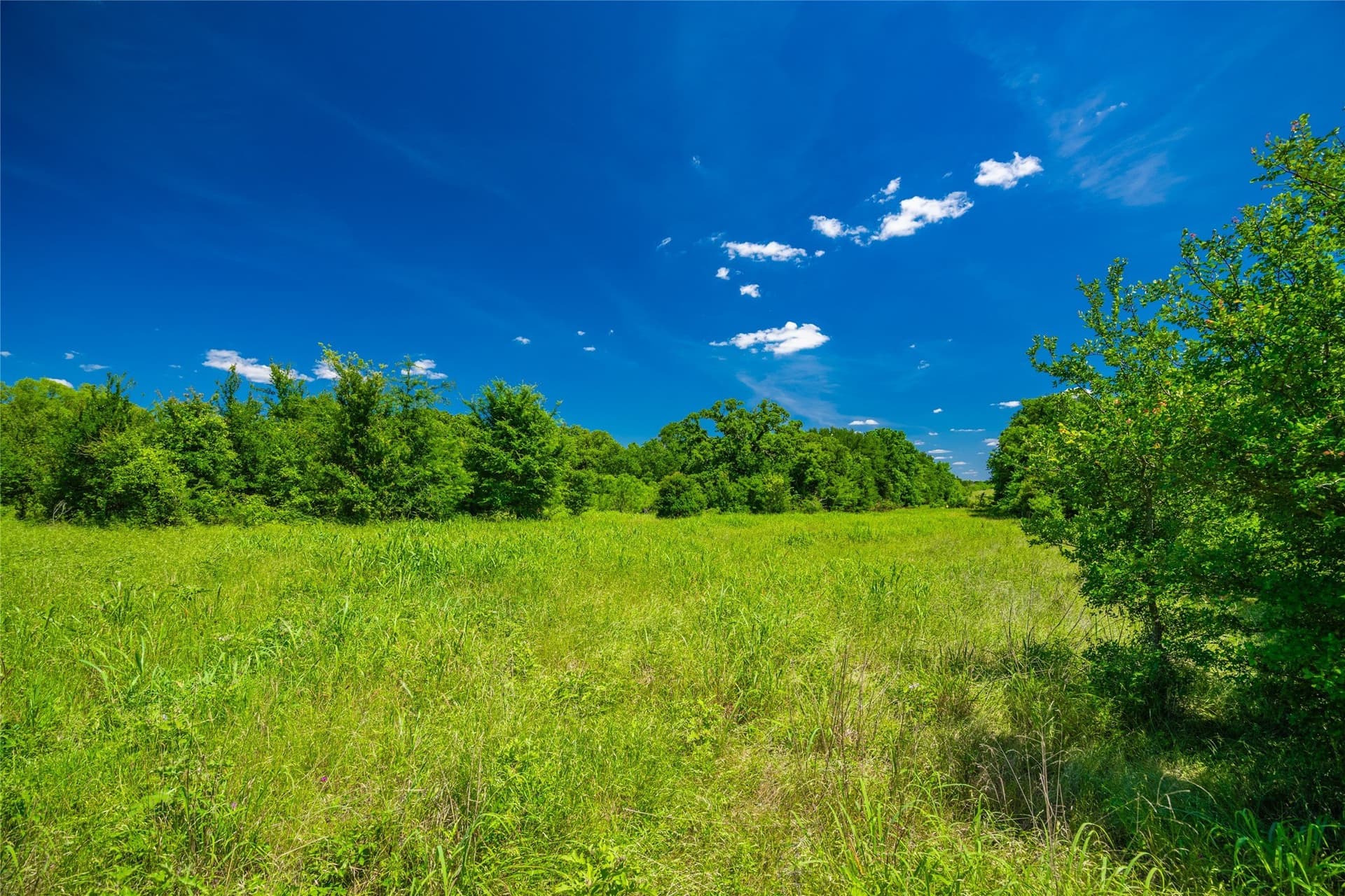 127 acres in Limestone County - photo 18