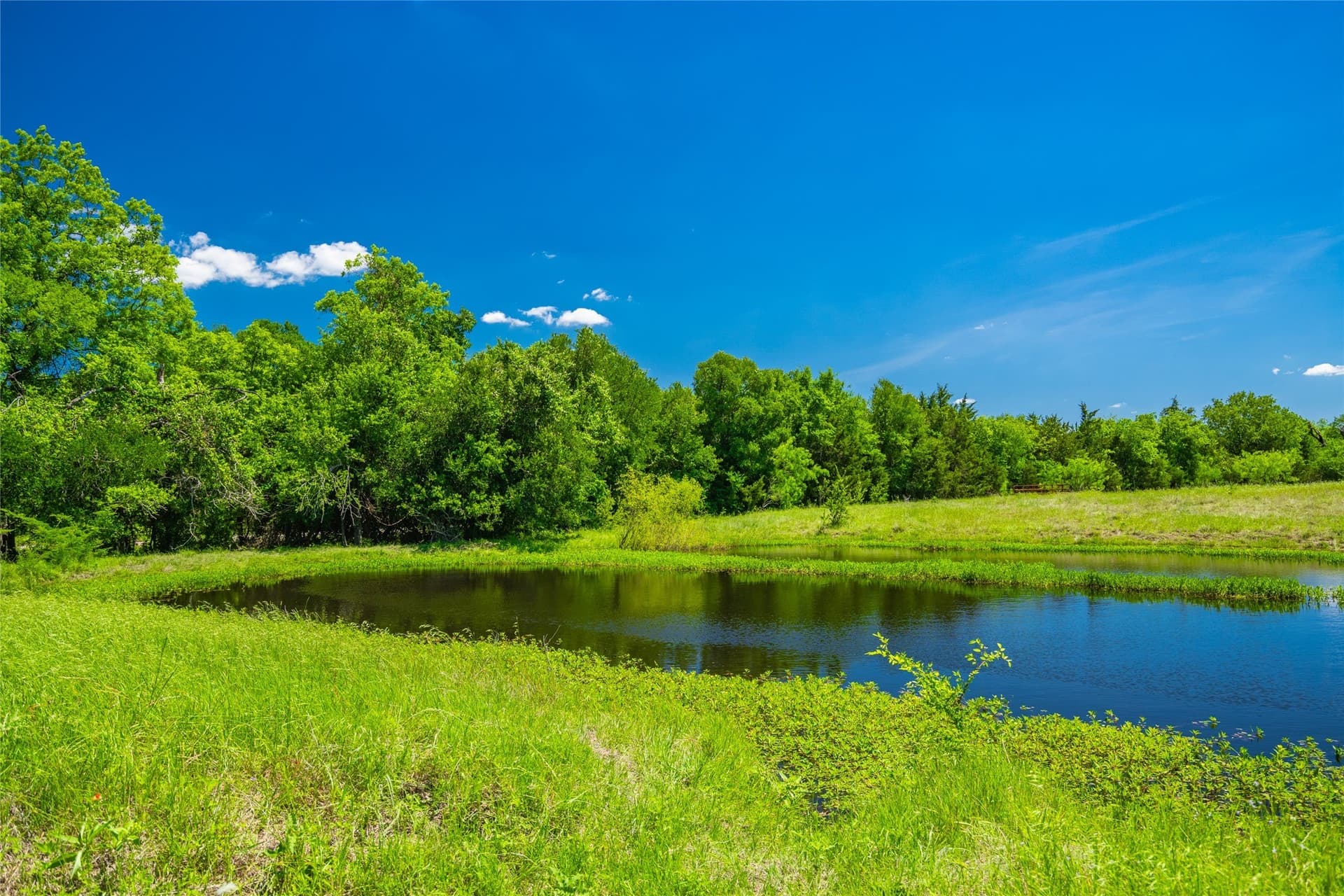127 acres in Limestone County - photo 14