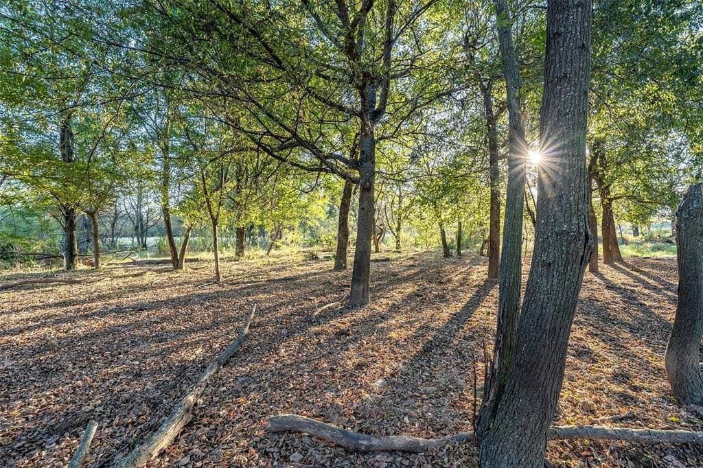 107.7 acres in Wood County gallery image 2