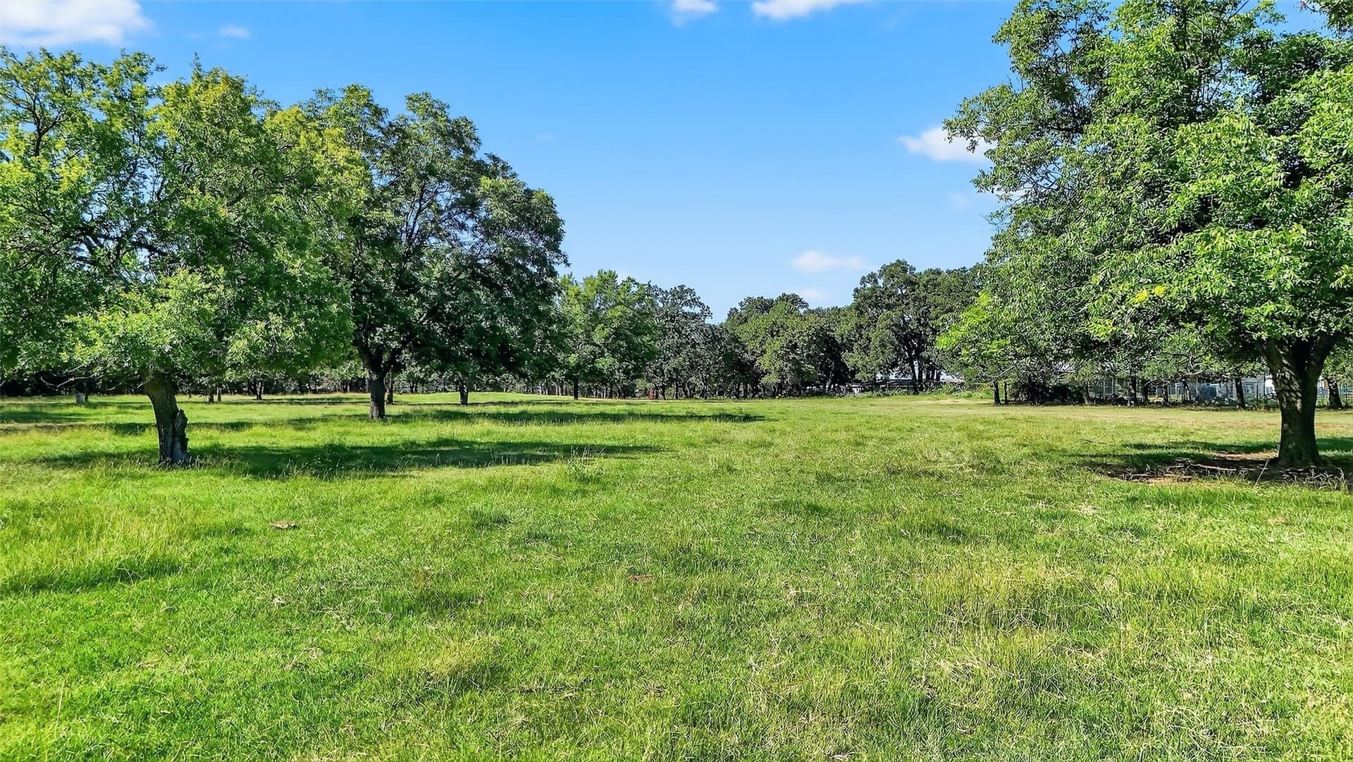 14.4 acres in Denton County - photo 14
