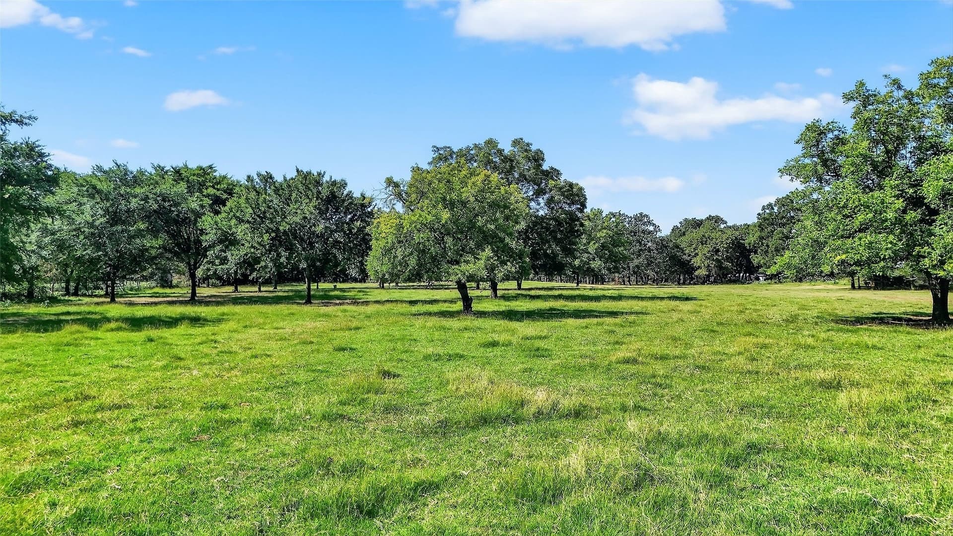 14.4 acres in Denton County - photo 13