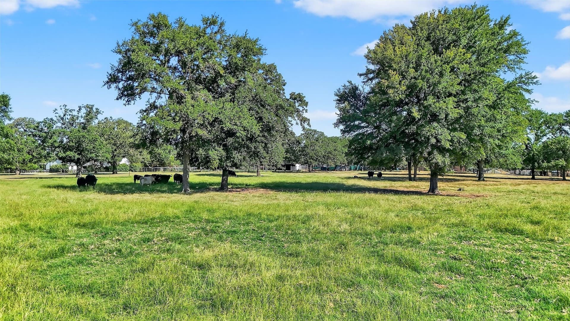 14.4 acres in Denton County - photo 12
