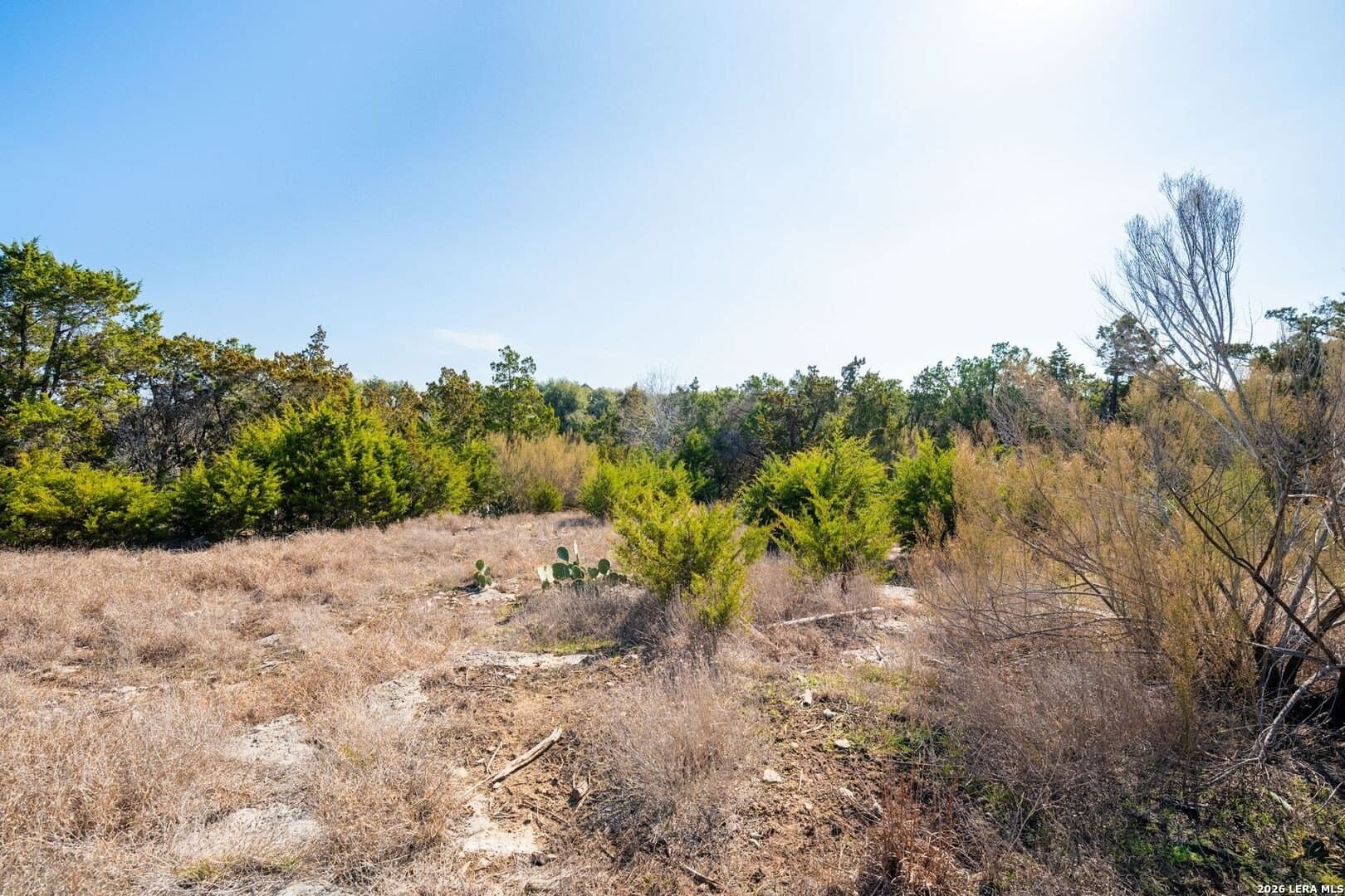 1.08 acres in Comal County featured view