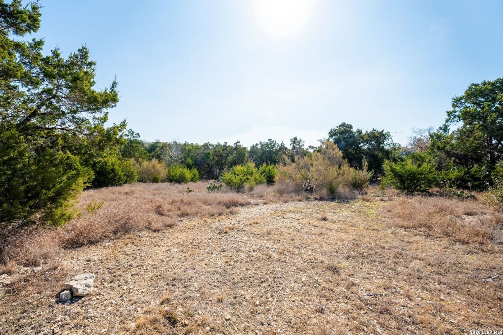 1.08 acres in Comal County gallery image 4