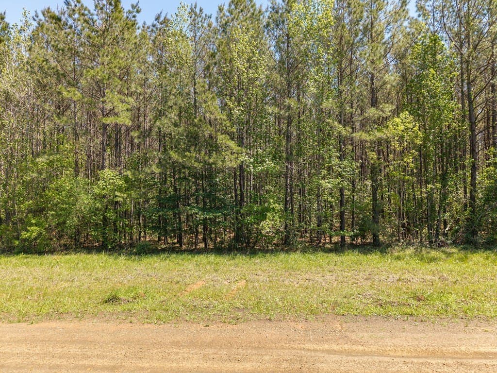 17 acres in Texas County - photo 7